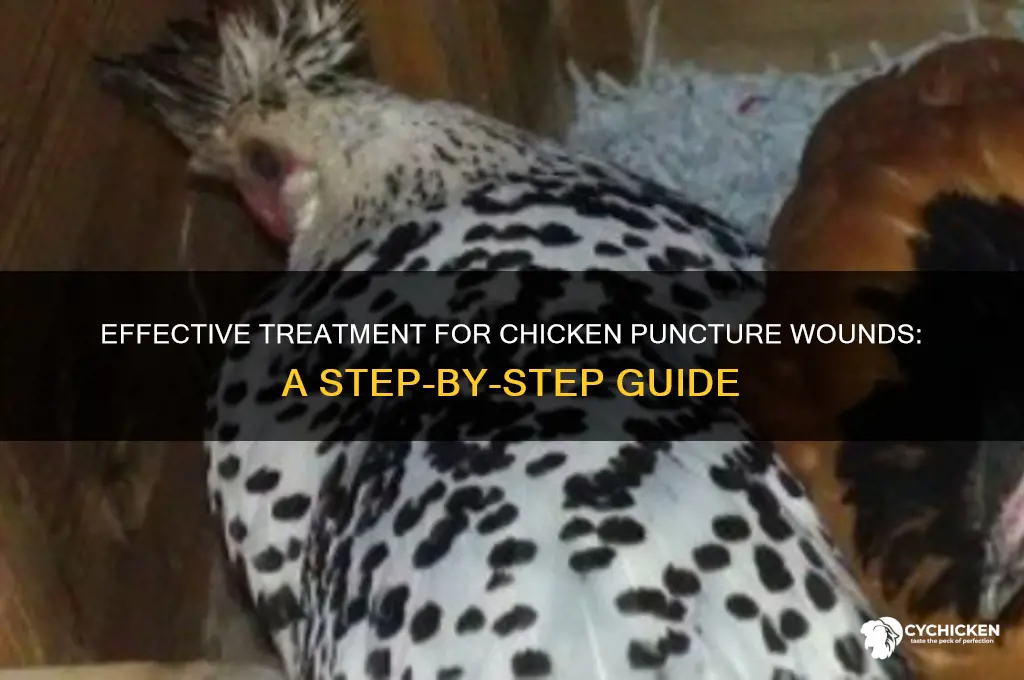 how to treat puncture wound in chicken