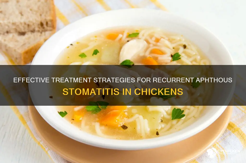 how to treat recurrent aphthous stomatitis in chicken