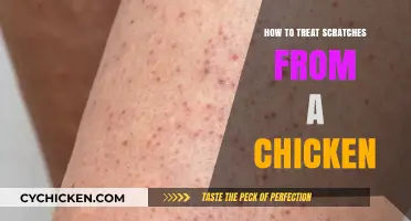 Effective Ways to Treat and Heal Chicken Scratch Injuries Fast