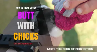 Treating Sticky Butt in Chicks: Effective Remedies and Prevention Tips