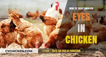 Effective Remedies for Treating Swollen Eyes in Chickens: A Guide