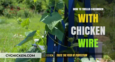 Easy DIY Chicken Wire Trellis for Growing Cucumbers Vertically