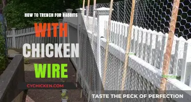 Effective Rabbit Trenching Techniques Using Chicken Wire for Garden Protection
