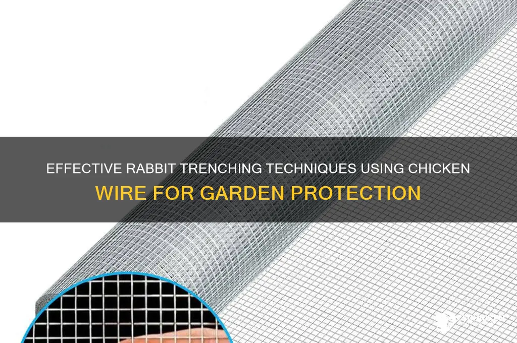 how to trench for rabbits with chicken wire