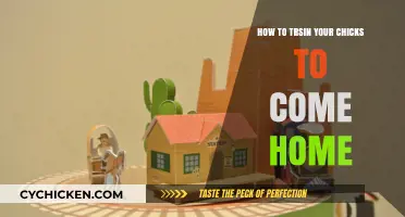 Training Your Chicks: Simple Steps to Ensure They Return Home Safely