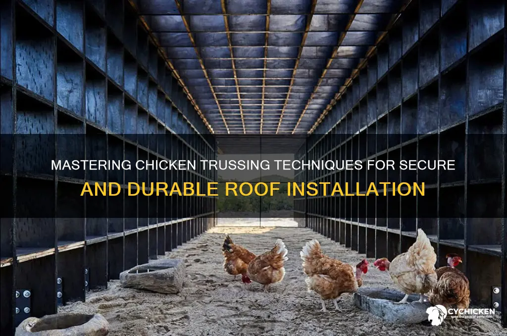how to truss a chicken for roof