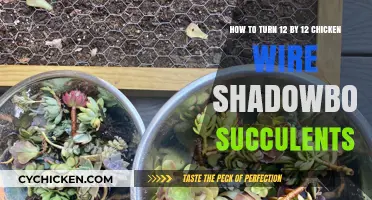 Creating Succulent Shadowboxes: Chicken Wire Wonder