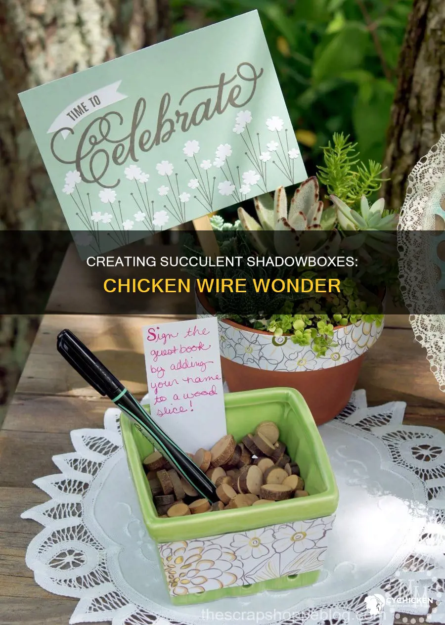how to turn 12 by 12 chicken wire shadowbox succulents