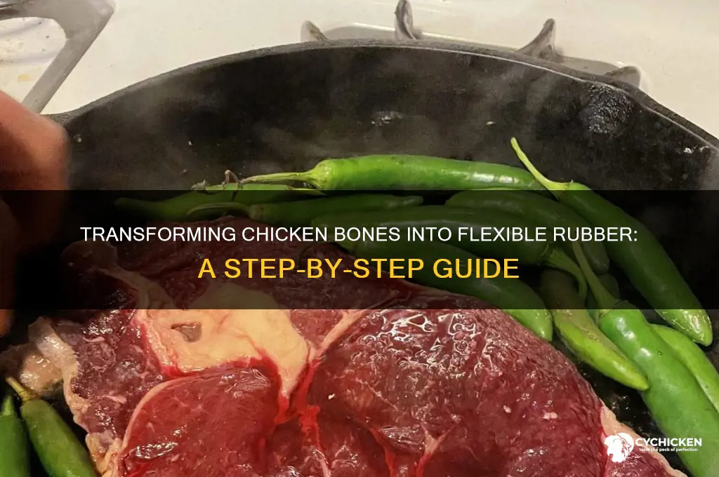 how to turn a chicken bone into rubber
