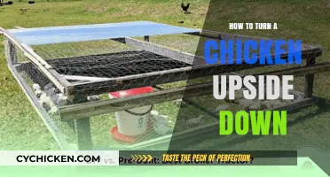 Mastering the Art of Flipping Chickens: A Step-by-Step Guide
