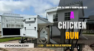 Trampoline Transformations: Chicken Run Ideas and DIY Guide