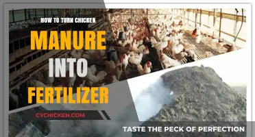 Transform Chicken Manure into Nutrient-Rich Fertilizer: A Step-by-Step Guide