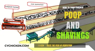 Transform Chicken Poop and Shavings into Eco-Friendly Garden Gold