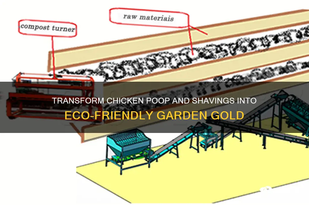 how to turn chicken poop and shavings