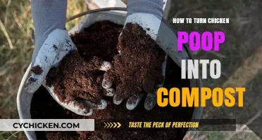 Transforming Chicken Poop into Nutrient-Rich Compost: A Step-by-Step Guide