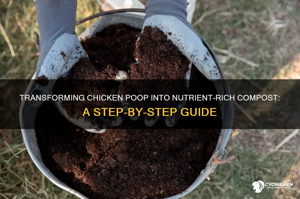 how to turn chicken poop into compost