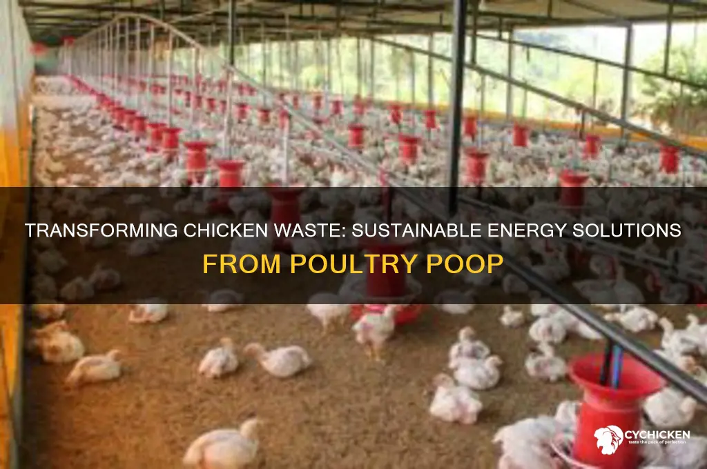 how to turn chicken poop into energy