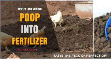 Transforming Chicken Poop into Nutrient-Rich Fertilizer: A Sustainable Gardening Guide