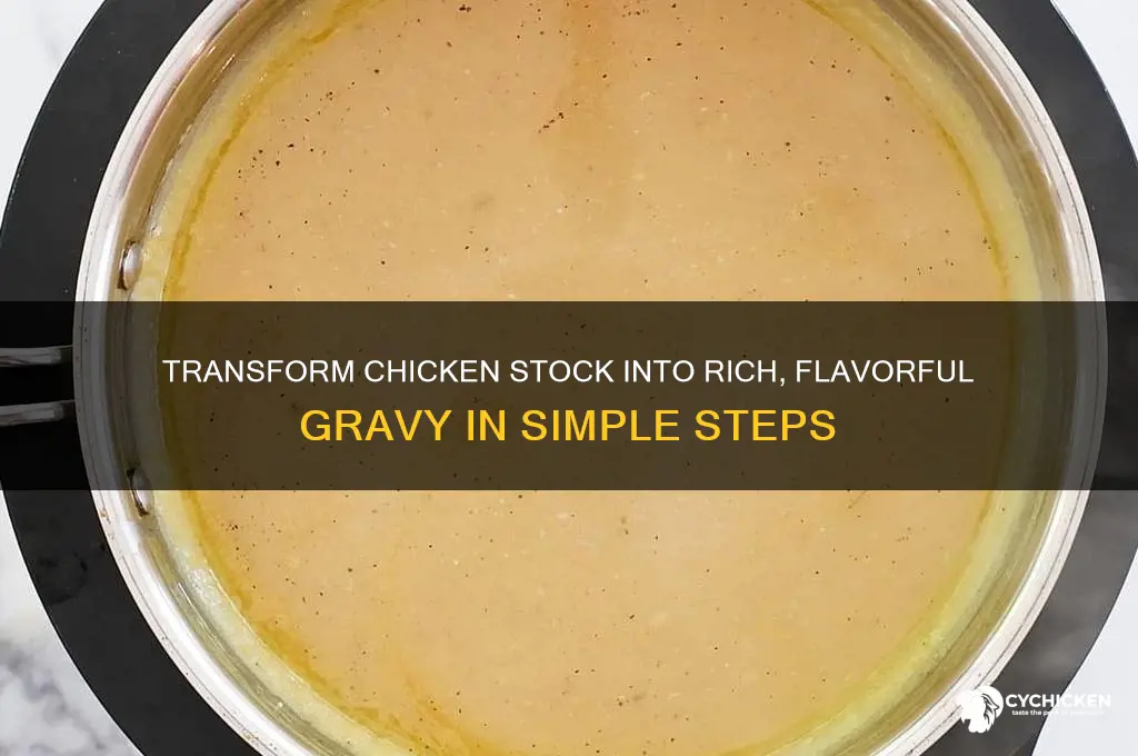 how to turn chicken stock into gravy