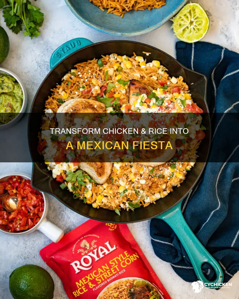 how to turn mountain house chicken and rice into mexican