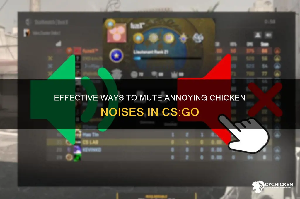 how to turn off chicken noise csgo