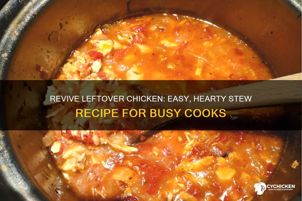 how to turn old chicken into a stew