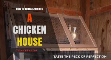 Transform Your Shed: A Step-by-Step Guide to Creating a Chicken Coop