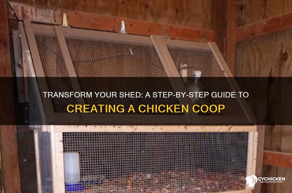 how to turna shed into a chicken house