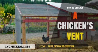 Quick Guide to Safely Unblocking Your Chicken's Vent at Home
