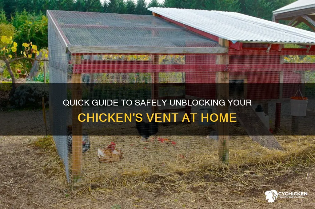 how to unblock a chicken