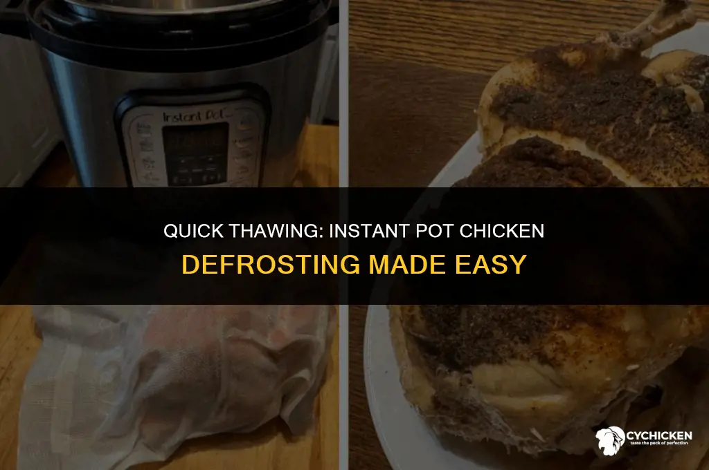how to unthaw chicken in instant pot