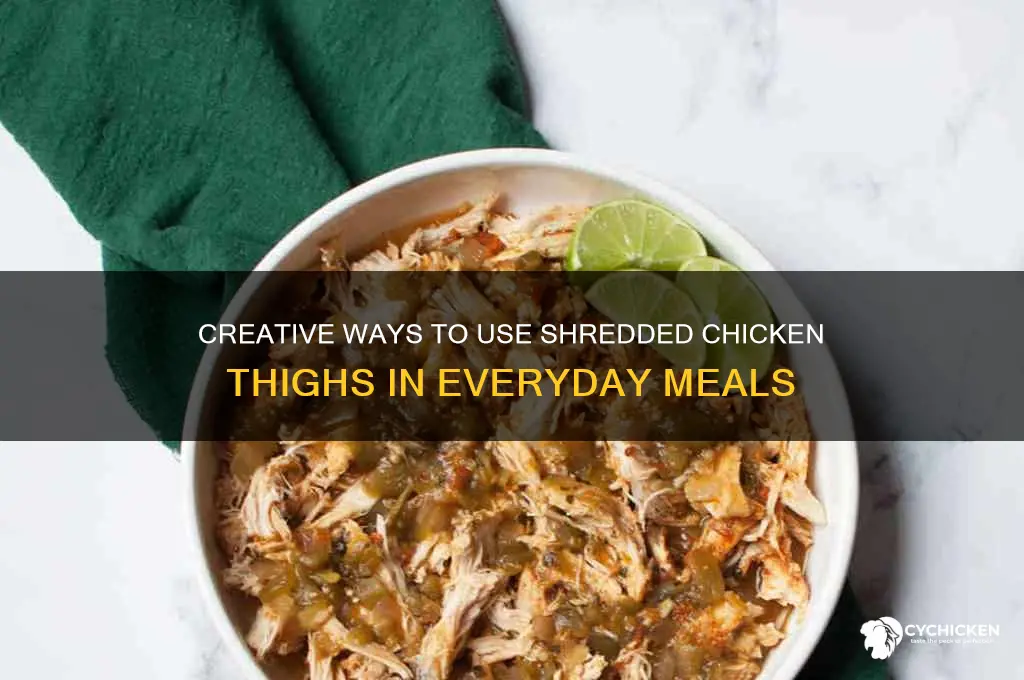 how to use shredded chicken thighs