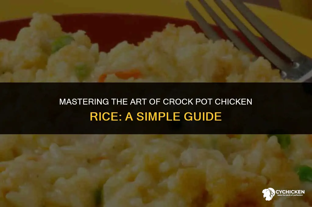 how to vook chicken rice in crock pot