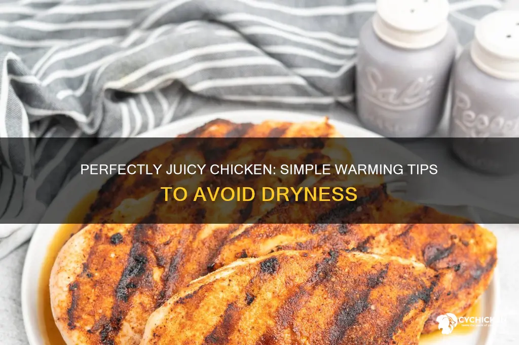 how to wam up chicken not dry