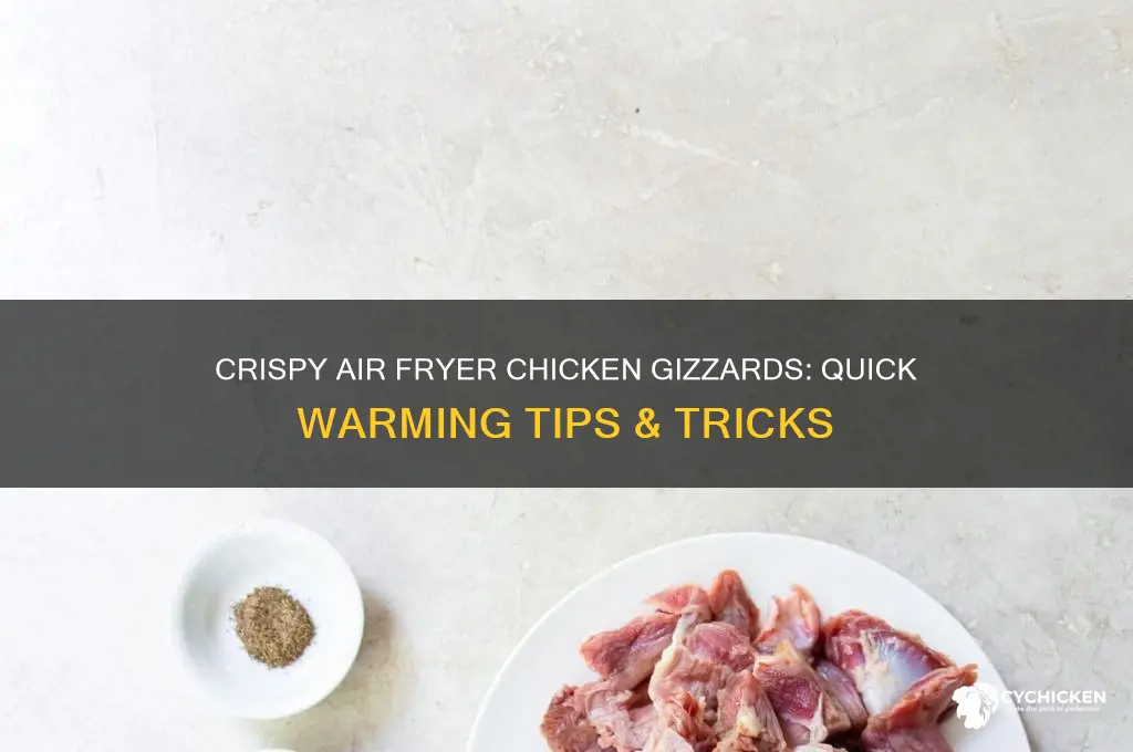 how to warm chicken gizzards in air fryer