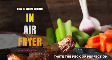 Quick Air Fryer Tips: Perfectly Warming Chicken Every Time