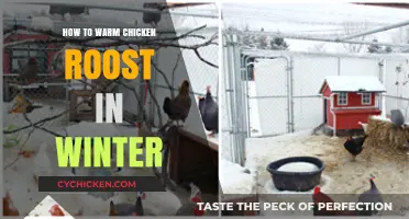 Effective Winter Chicken Care: Warming Your Roost for Happy Hens