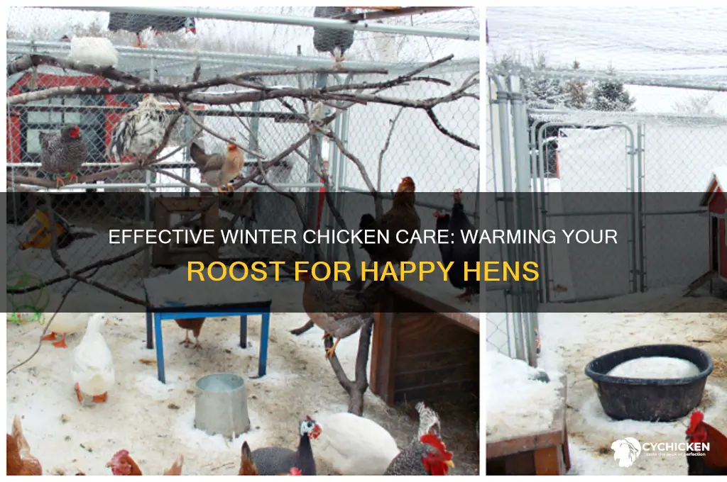 how to warm chicken roost in winter