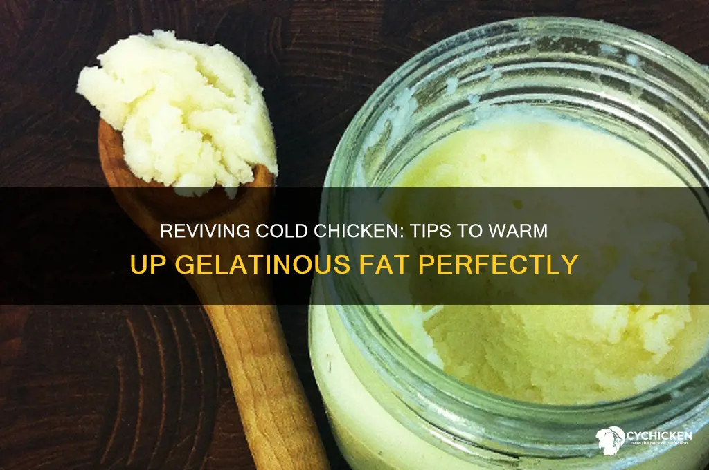 how to warm chicken when fat is gelitin