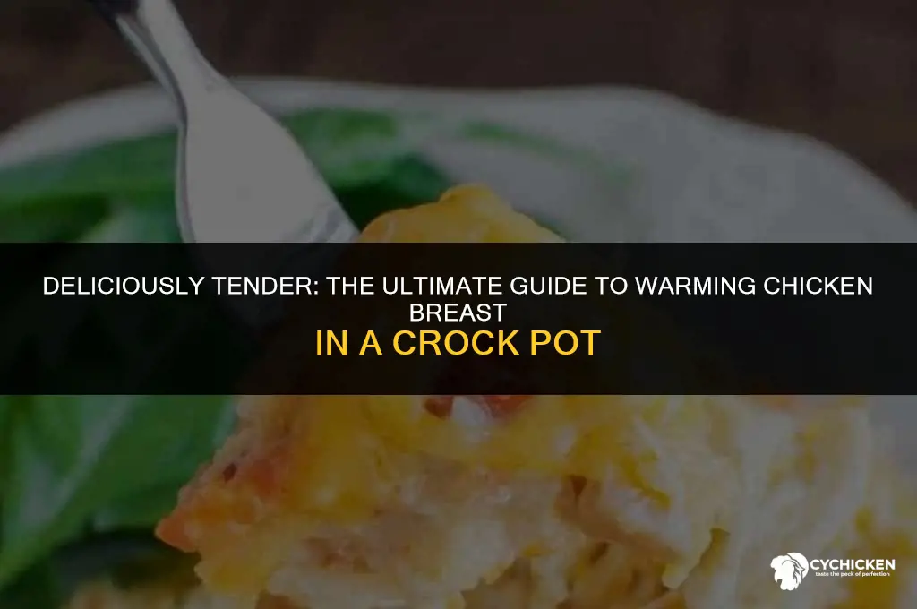 how to warm crock pot chicken breast