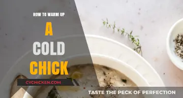 Reviving a Chilled Chick: Simple Steps to Warmth and Comfort