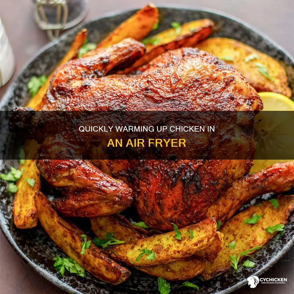 how to warm up chicken in an air fryer