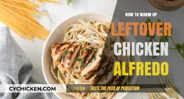 Reviving Creamy Bliss: Perfectly Reheating Leftover Chicken Alfredo