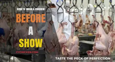 Pre-Show Chicken Care: Essential Steps to Wash Your Bird