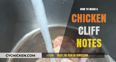 Quick Guide: Washing Chicken Safely and Efficiently in Minutes
