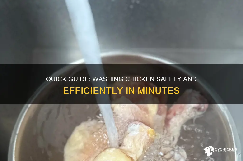how to wash a chicken cliff notes