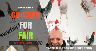 Perfectly Prepped Poultry: A Step-by-Step Guide to Washing Chickens for Fairs