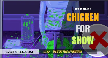 Perfect Poultry Prep: Expert Tips for Washing Show Chickens