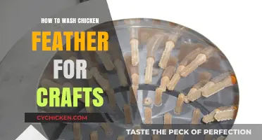 Crafting with Chicken Feathers: A Step-by-Step Cleaning Guide