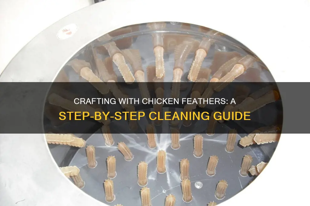 how to wash chicken feather for crafts